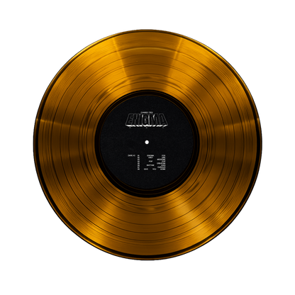 ENIGMA POV VINYL